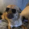 sandydoss754 - @sandradoss704 - TikTok
