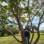Sandra Dourado - Facebook