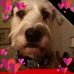 Sandra Dover - Facebook