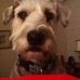 Sandra Dover - Facebook