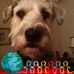 Sandra Dover - Facebook
