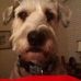 Sandra Dover - Facebook