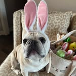 Sandra Dover Sanders - @bellasanders1 - Instagram