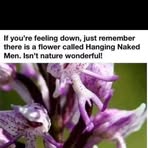 Sandra Dowds - Facebook
