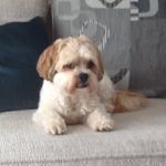 Sandra Dowling - @dowling7726 - Instagram