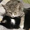 Sandra Downs - @sandra.downs6 - TikTok