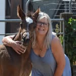 Sandra Downes - @sld0000 - Instagram