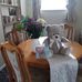 Sandra Downs - Facebook