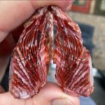 Sandra (Sandy)Rogerson Downs - @srdrrt - Instagram