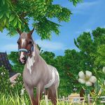 Sandra Drabik - @sd.eq_ - Instagram
