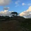 Sandra Drees - @sandra.drees2 - TikTok
