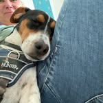 Sandra Dreyer - @sandra_dreyer3 - Instagram