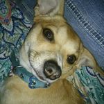 Sandra Drumheller - @fallon_drumheller - Instagram