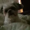 Sandra Double - @sandradouble - TikTok