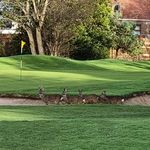 Sandra Richardson - @duddingston_directorgolf_club_ - Instagram