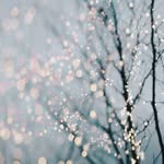 Sandra Dudek - @dudek7887 - Instagram