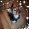 sandradudek46 - @sandradudek46 - TikTok