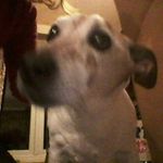 Sandra Dudley - @sandra.joan.dudley - Instagram