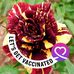 Sandra Duff Riven - Facebook