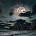 Sandra Duffield - Facebook