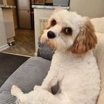 Sandra Duffield - @mrsduff_1965 - Instagram