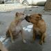 Sandra Duffield - Facebook
