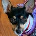 Sandra Dunaway - Facebook