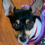 Sandra Dunaway - @sandra.kaye56 - Instagram