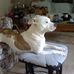 Sandra Dunaway - Facebook