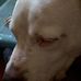 Sandra Dunaway - Facebook