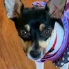 user2765666381936 - @sandradunaway - TikTok