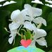 Sandra Duran - Facebook