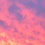 Sandra Dürr - @durr4567 - Instagram