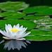 Sandra Dykstra Counselling Services - Facebook