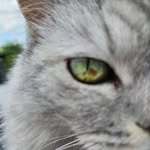 San Dan Lebe - @sandra.ebel - Instagram