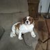 Sandy Eckenrode - Facebook