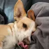 sandraedelmann - @sandraedelmann - TikTok