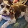 Sandra Edgar - @sandra.edgar5 - TikTok