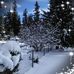 Sandra Edgington - Facebook