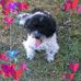 Sandra Edler - Facebook