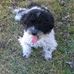 Sandra Edler - Facebook