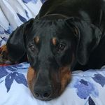 Sandra Egan - @sandraegan55 - Instagram