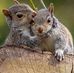 Sandra Egan - Facebook