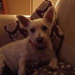 Sandra Egan - @sandrae0503 - Instagram