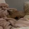 Sandra Egerer - @sandra.egerer - TikTok