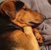 Sandra Eggert - Facebook