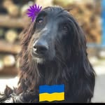 Sandra Eick - @sandra.eick.5 - Instagram
