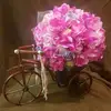 SANDRA EISEN - @sandra.eisen - TikTok