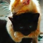 Sandra Eisen - Facebook