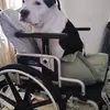 Sandra Eisler - @sandra.eisler2 - TikTok